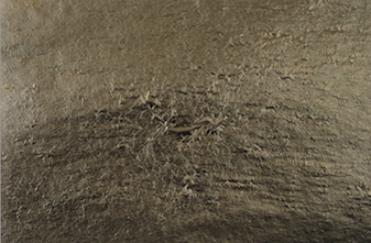 [23000241A] Cuivre N° 2,5 140 x 140 mm libre - Le carnet de 25 feuilles